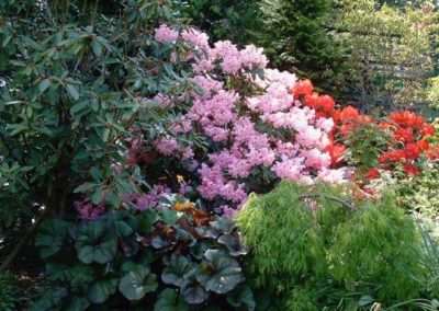 A Traditional Garden in the Grange - established