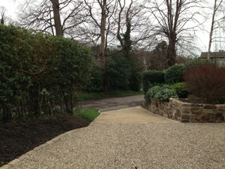 A Woodland Garden - the new drive
