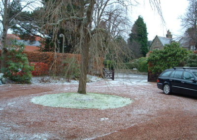 An Arts and Crafts House front garden and driveway