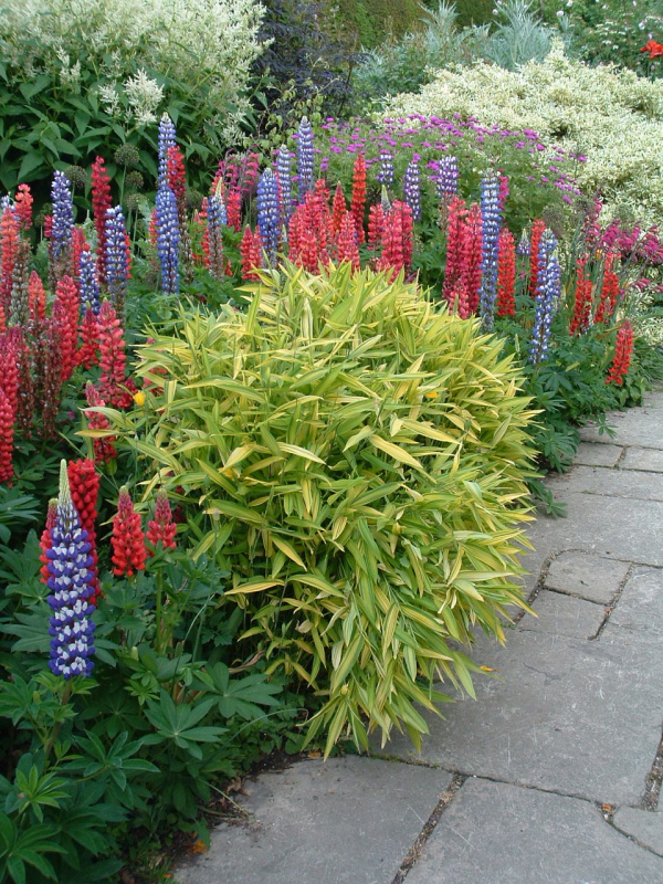 Great Dixter - early summer