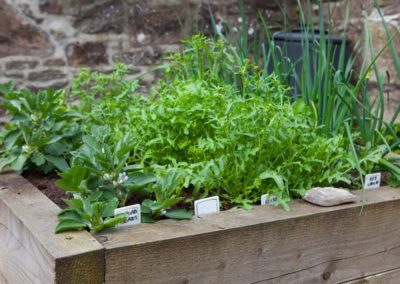 Sunny Walled Garden with raised vegetable beds