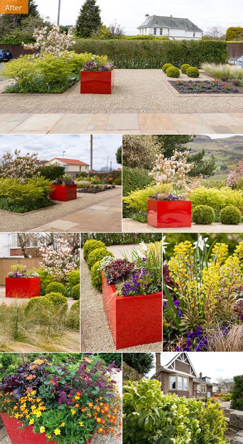 Front Garden and Driveway - A view to the Hills - after
