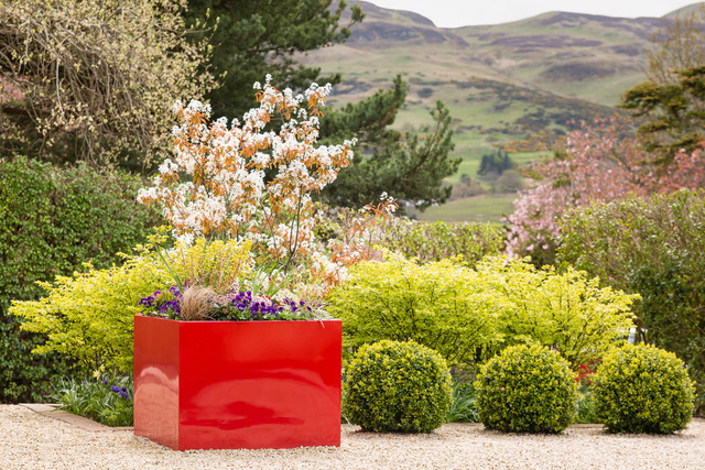 Garden Design - A front garden and drive with contemporary planting Garden Design - A front garden and drive with contemporary planting
