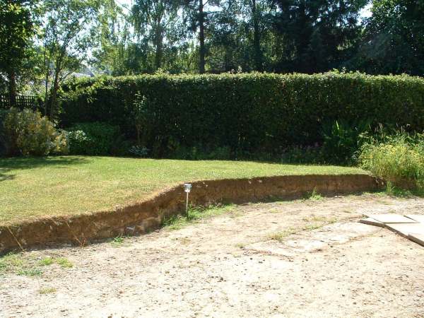 Old lawn and driveway area