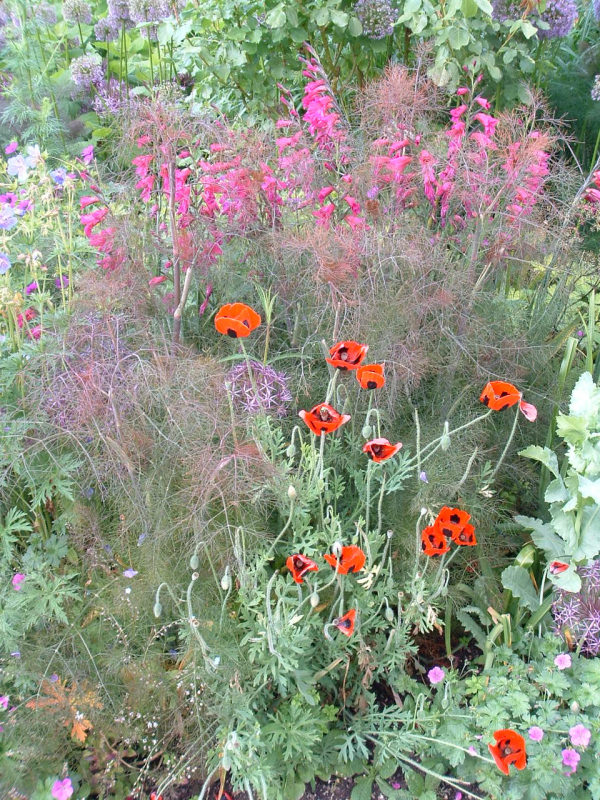 Great Dixter