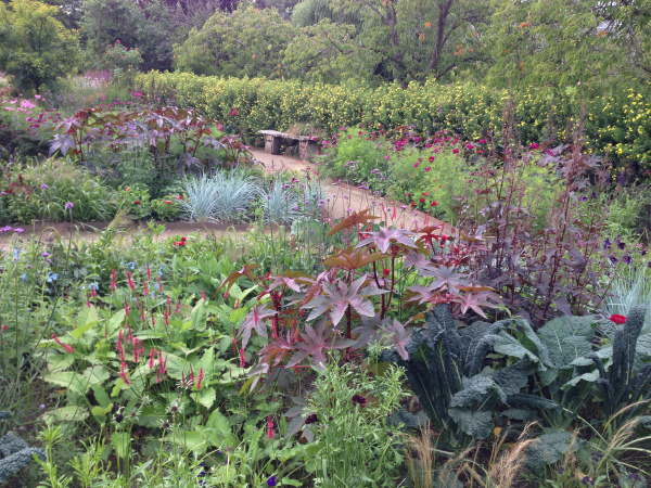 The Potager Garden