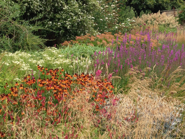 Colour in the Prairie Border