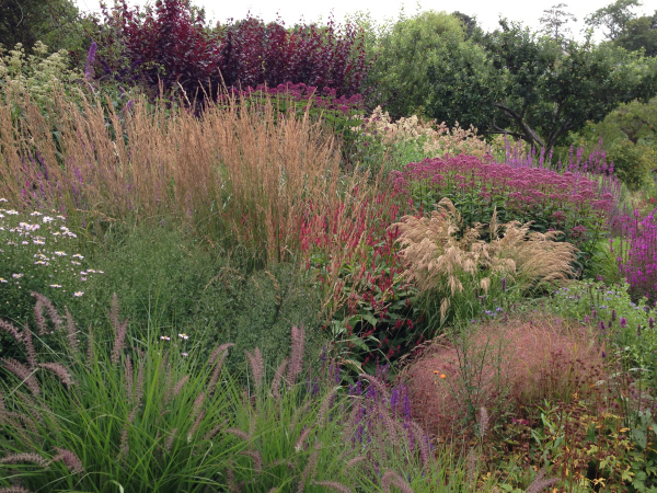 The soft movement of the border grasses is very seductive.