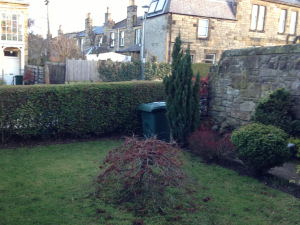 Front Garden - Before