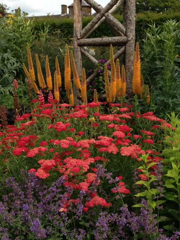 hot colour planting