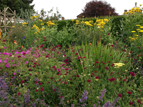 A herbaceous border