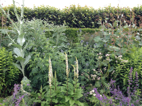 Grey and silver planting