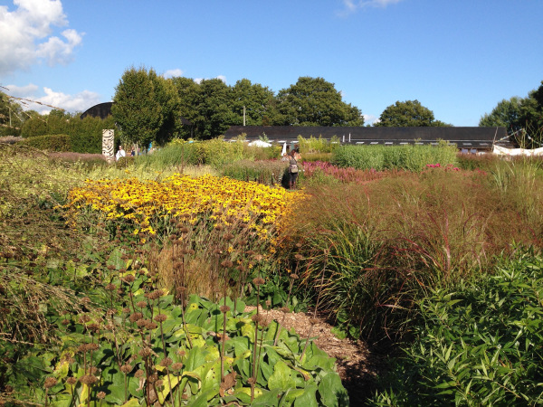 Planting views