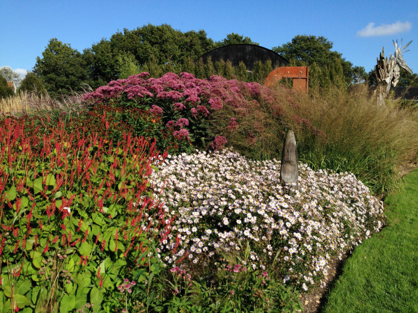 prairie planting - September 2015