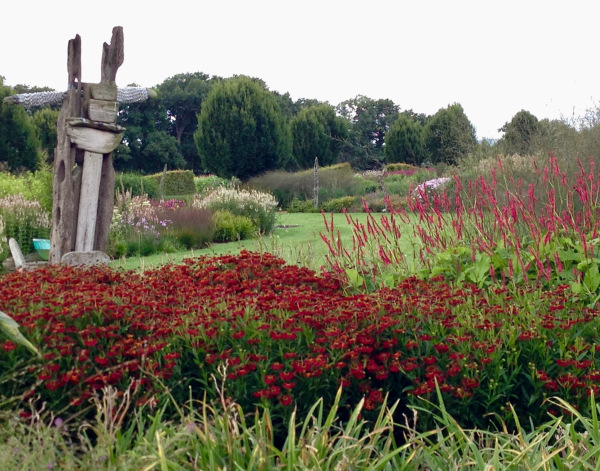 A view over Sussex Prairie Garden