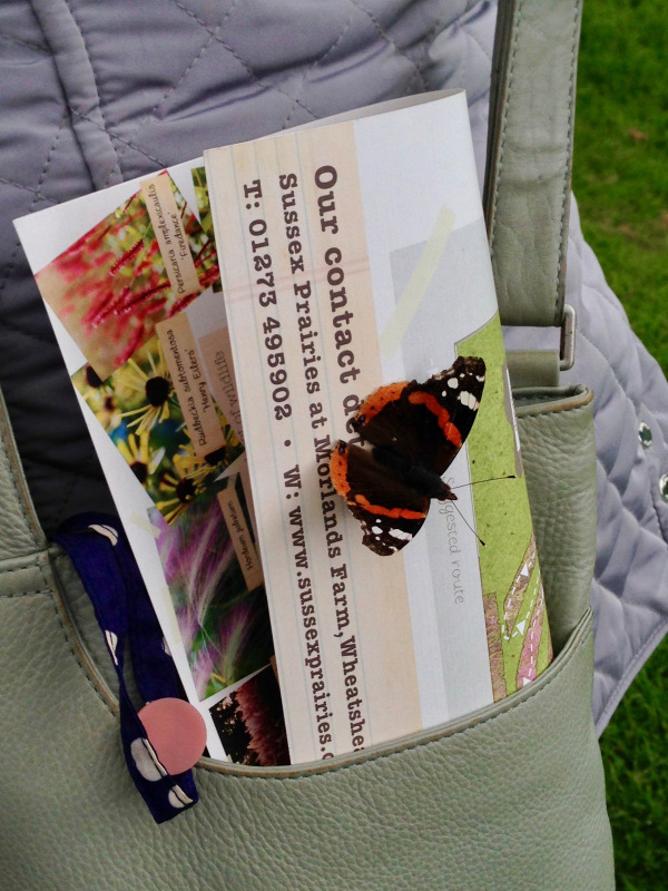 Butterflies at Sussex Prairie Garden