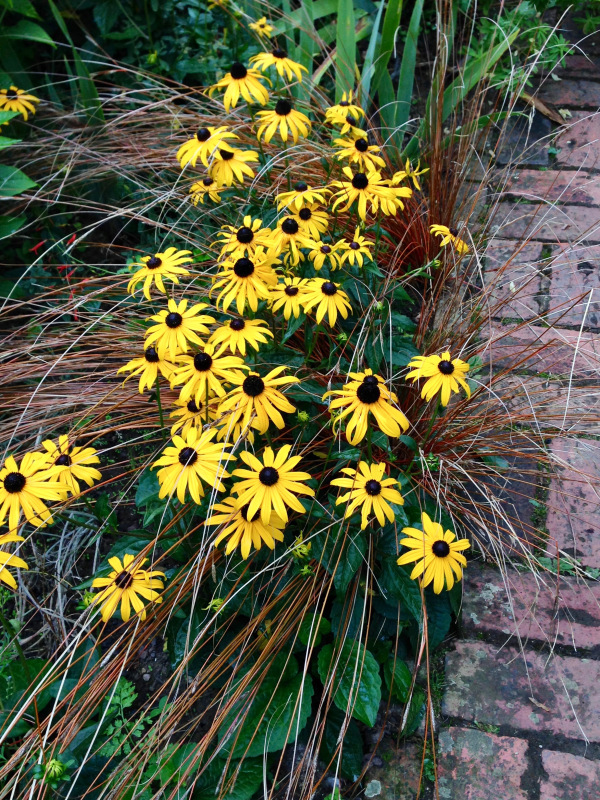 Planting combination