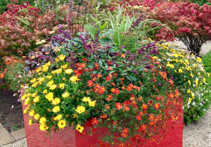 Container with summer planting