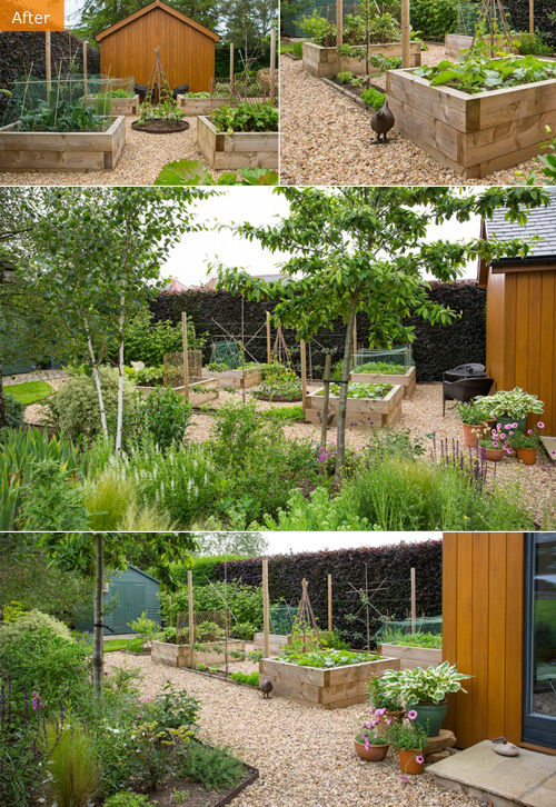 Potager Garden - after