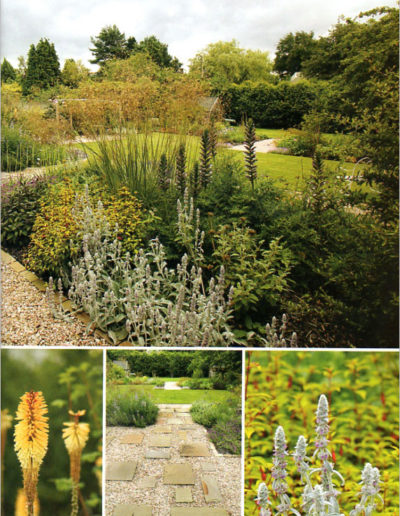 Scottish Field - Going with the flow