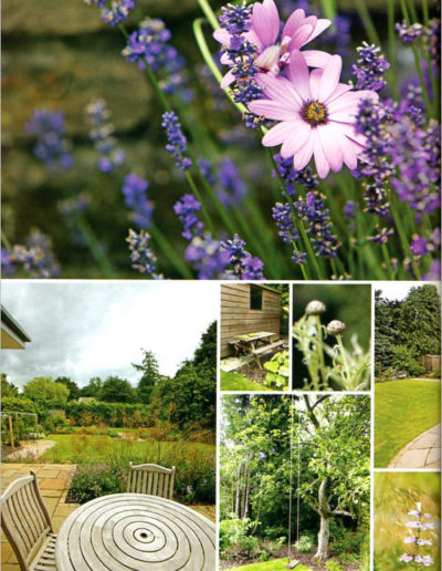 Scottish Field - Going with the flow