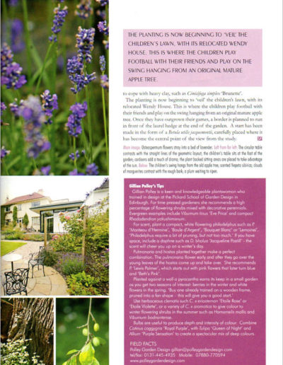 Scottish Field - Going with the flow