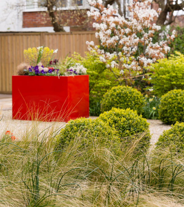 Front Gardens: Do you have Colour 365 Days a Year?