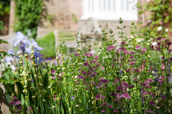 a seat with soft relaxed planting on an arts and crafts terrace