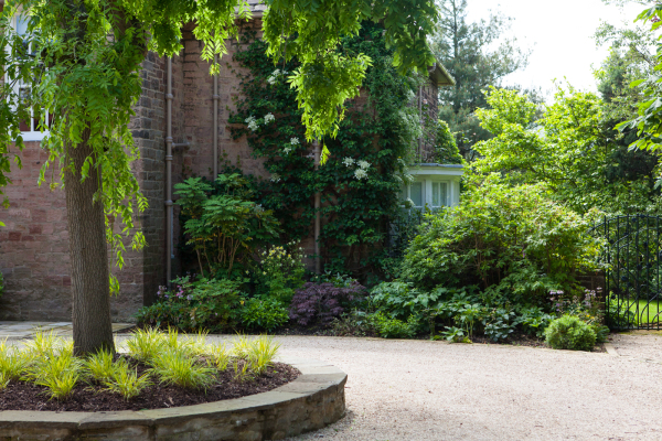 Planting plan for a shady border by Polley Garden Design