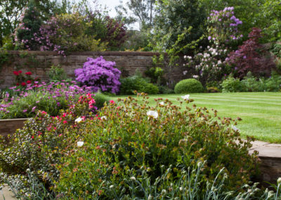 Sunny Walled Garden with multiple levels of planting and lawn