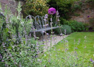 Sunny Walled Garden with multiple levels of planting and lawn