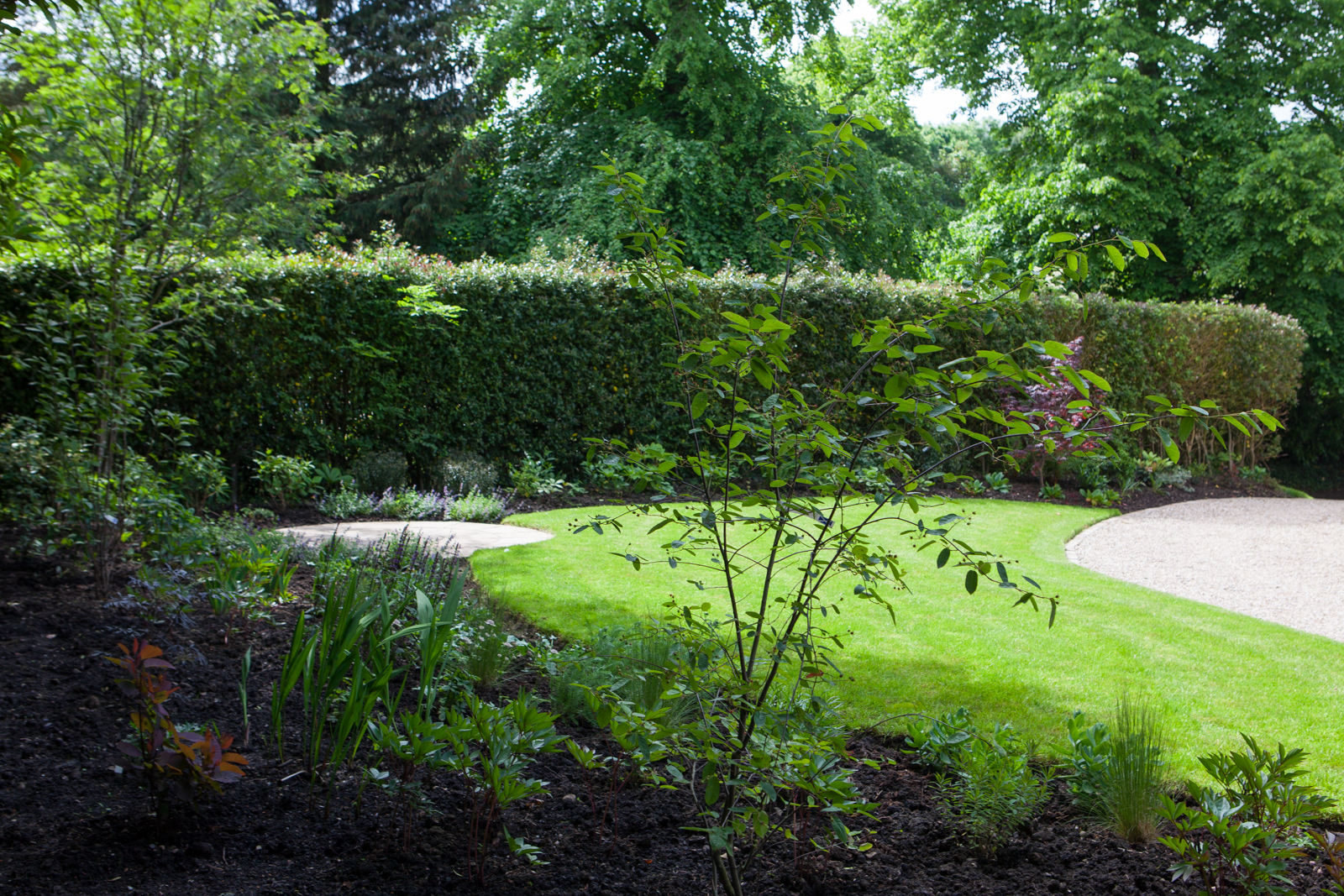 A garden in the Grange