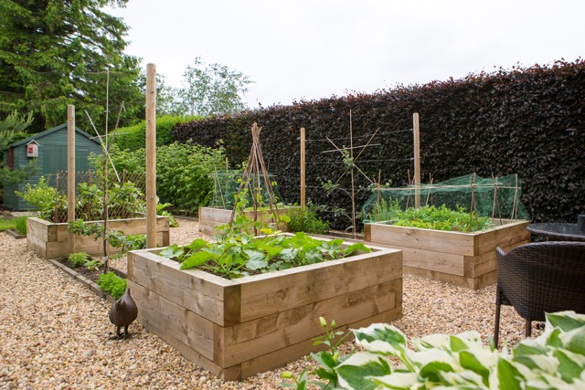 Potager garden raised vegetable beds with gravel paths Garden Design - a potager garden