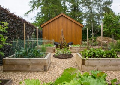 A Potager garden with raised vegetable beds and gravel paths
