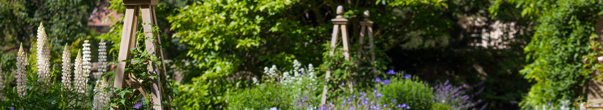 Make Your Garden Your Home - mixed planting Make Your Garden Your Home - mixed planting