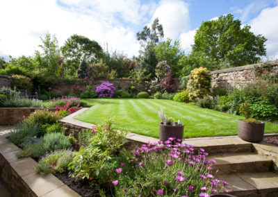 Sunny Walled Garden with multiple levels of planting and lawn