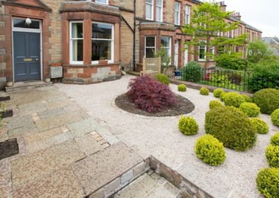 A small front garden with gravel, box balls and an acer