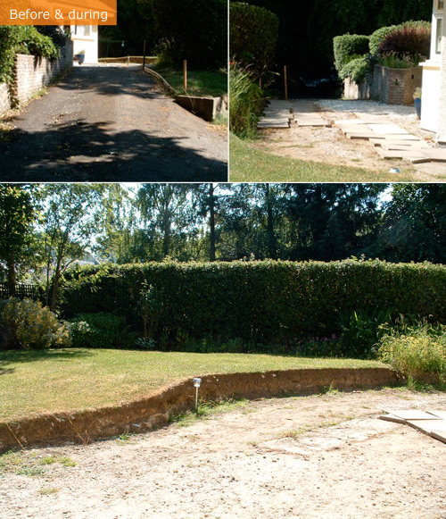 A Woodland Garden - before