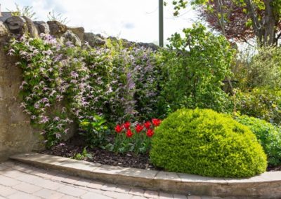 A Linear Focus - the raised beds elevate gradually