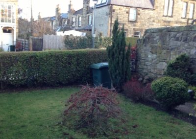 A small front garden before