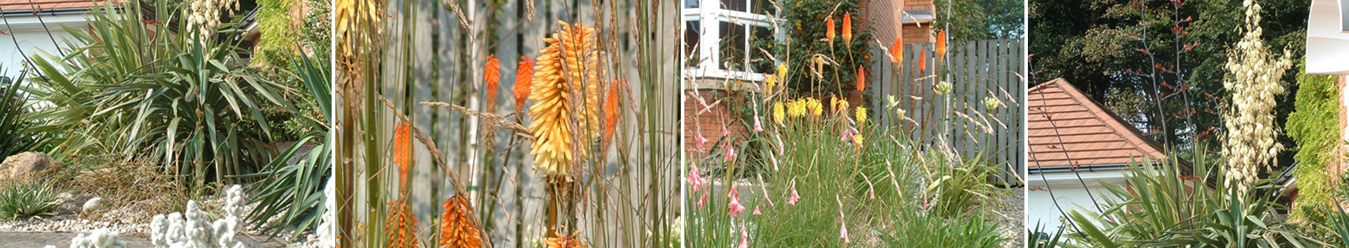 Low Maintenance Front Garden