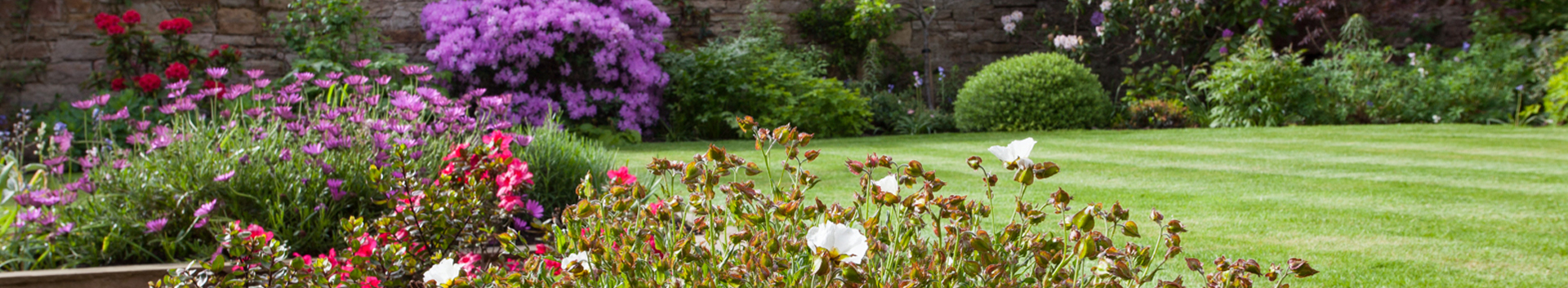 A Sunny Walled Garden