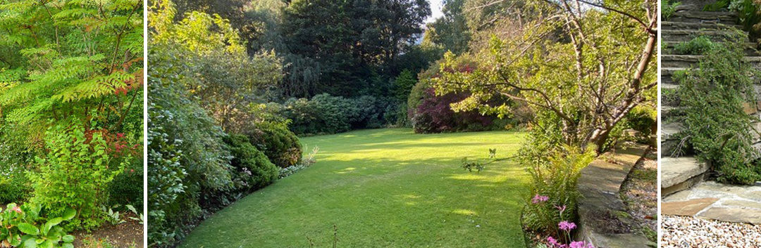 A Traditional Garden in the Grange