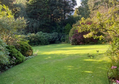 A Traditional Garden in the Grange