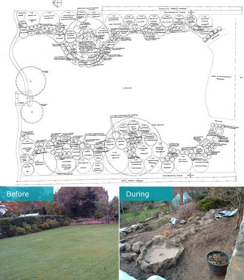 A planting plan and before and during the process planting-plan-plan-before-during