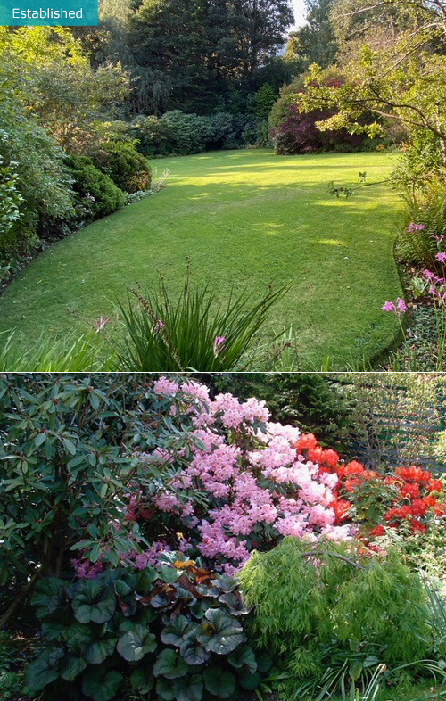 more established photos of the planted garden