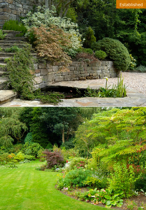 A Traditional Garden in the Grange - established