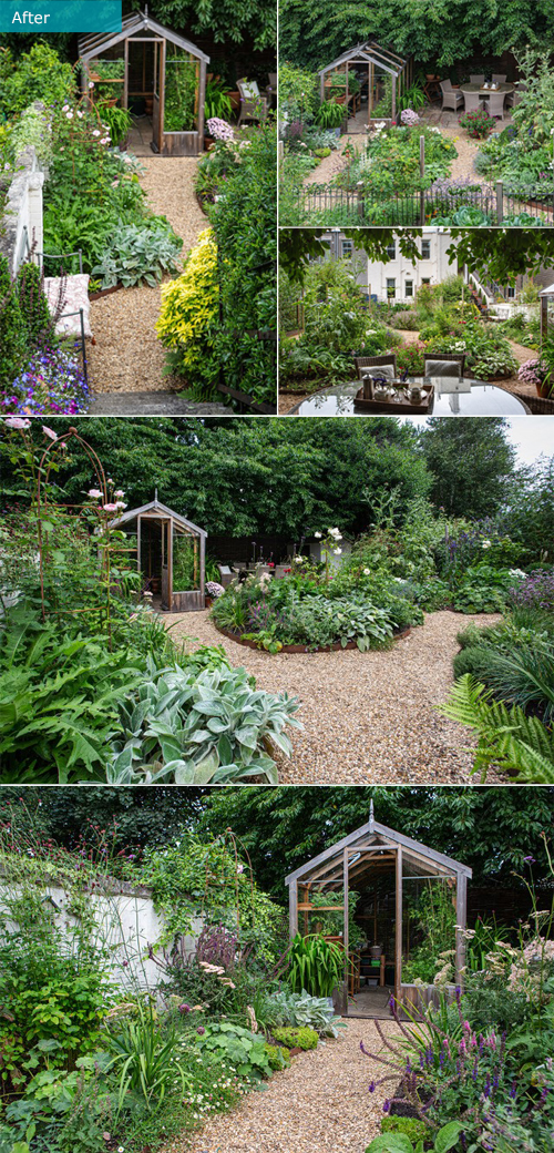 A Plant Lover's Garden A Plant Lover's Garden after
