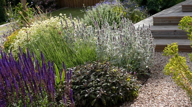 Polley Garden Designs Planting Plan