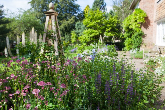 Polley Garden Designs Planting Plan